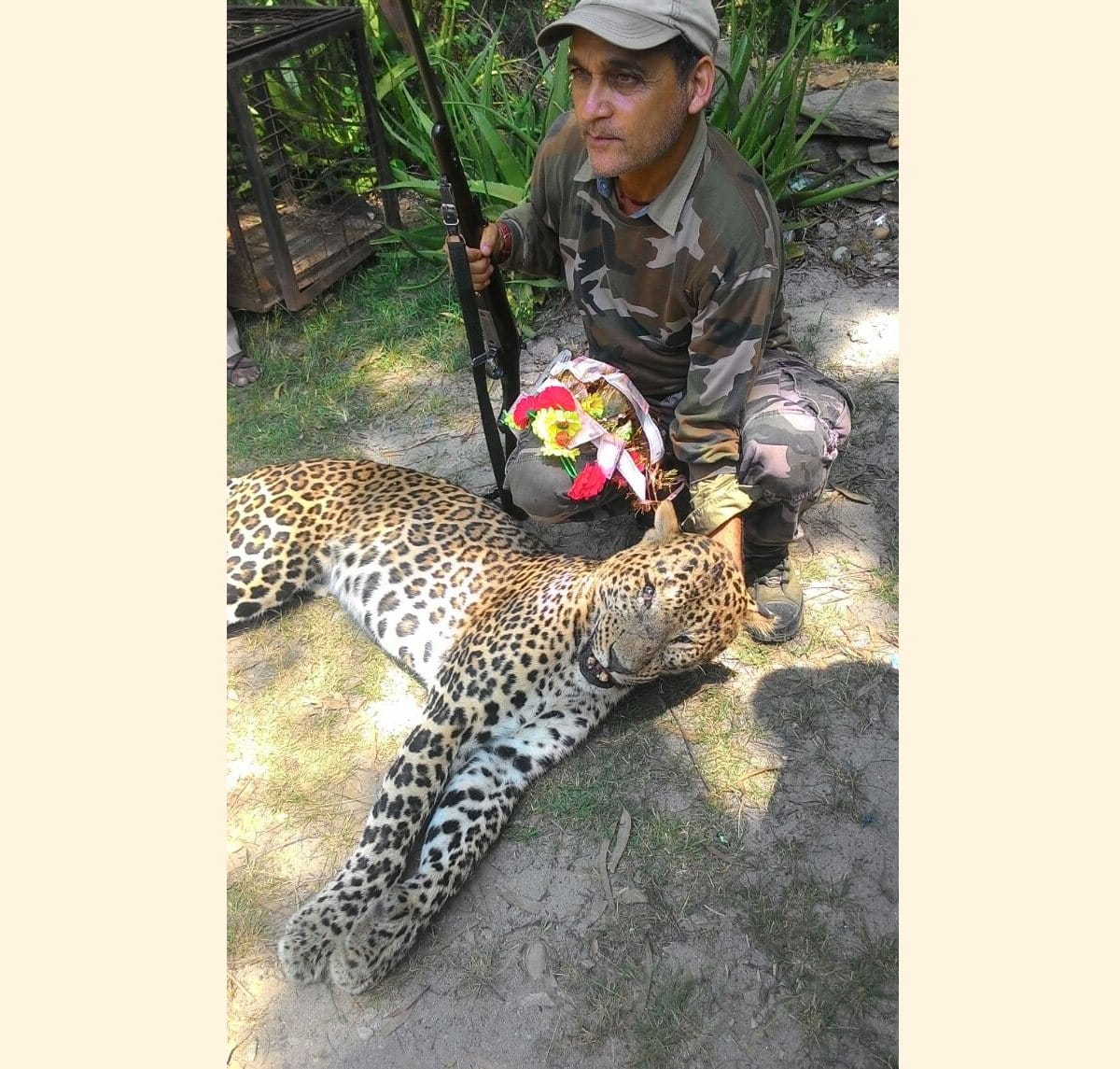 man eater leopard killed by hunter in devprayag.