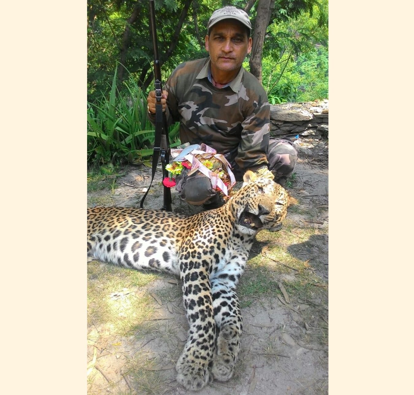 man eater leopard killed by hunter in devprayag.