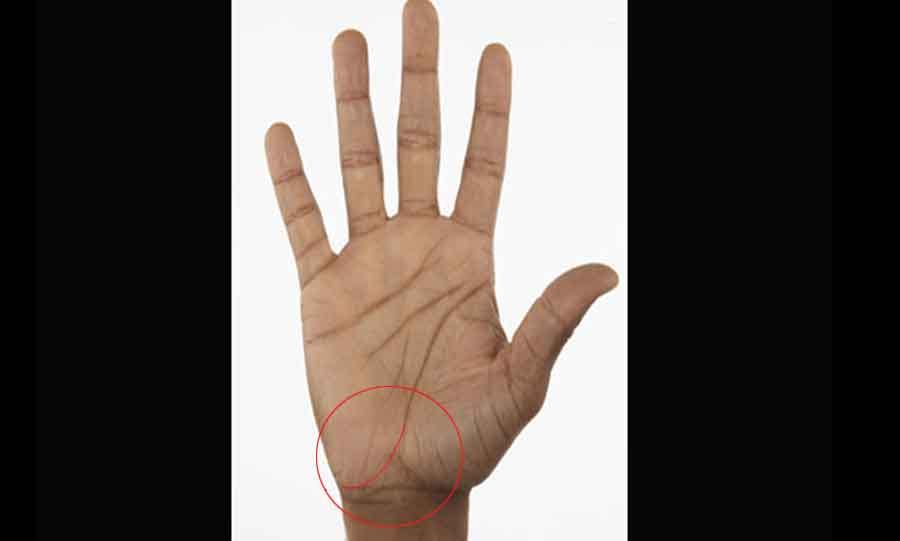 manibandh rekha in palmistry
