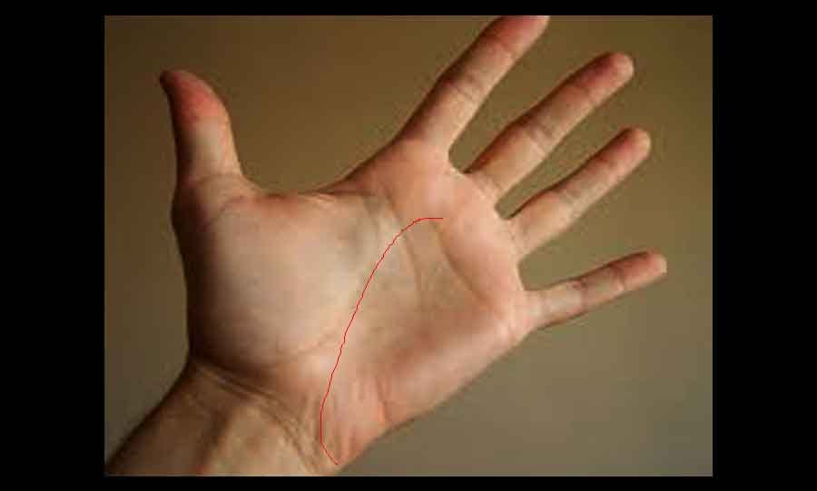 manibandh rekha in palmistry