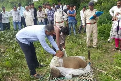  man killed her mohter for land in Madhaya Pradesh