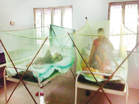 The threat of dengue and malaria in hospital