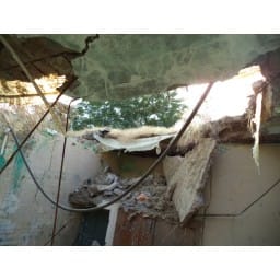 bhiwani news, electricity corporation, damage, building, roof, fall down