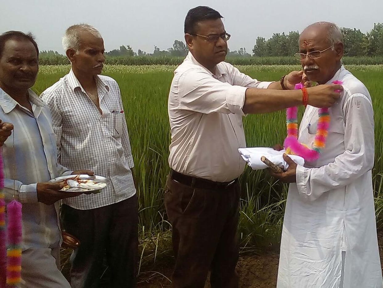 trench form sugarcane