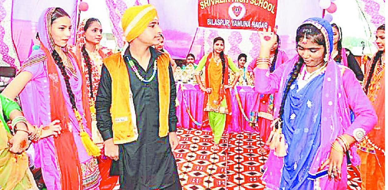 annul function, yamunanagar, school