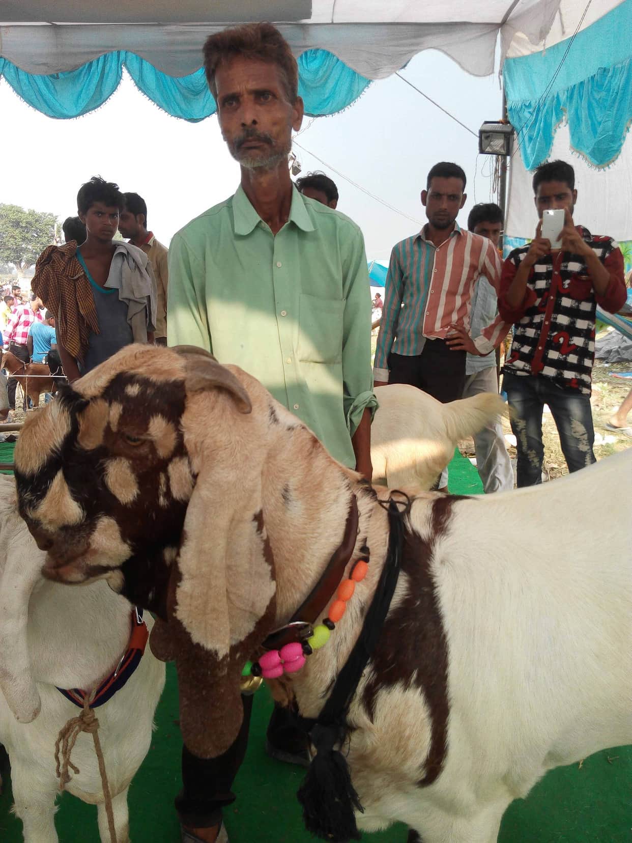 billy goat market in lucknow
