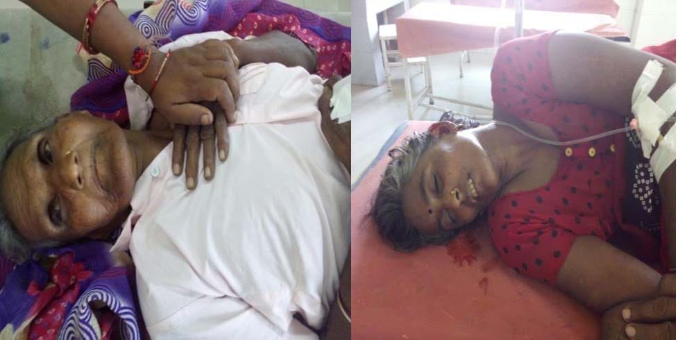  stampede in Devotees caused by cow , dozens injured