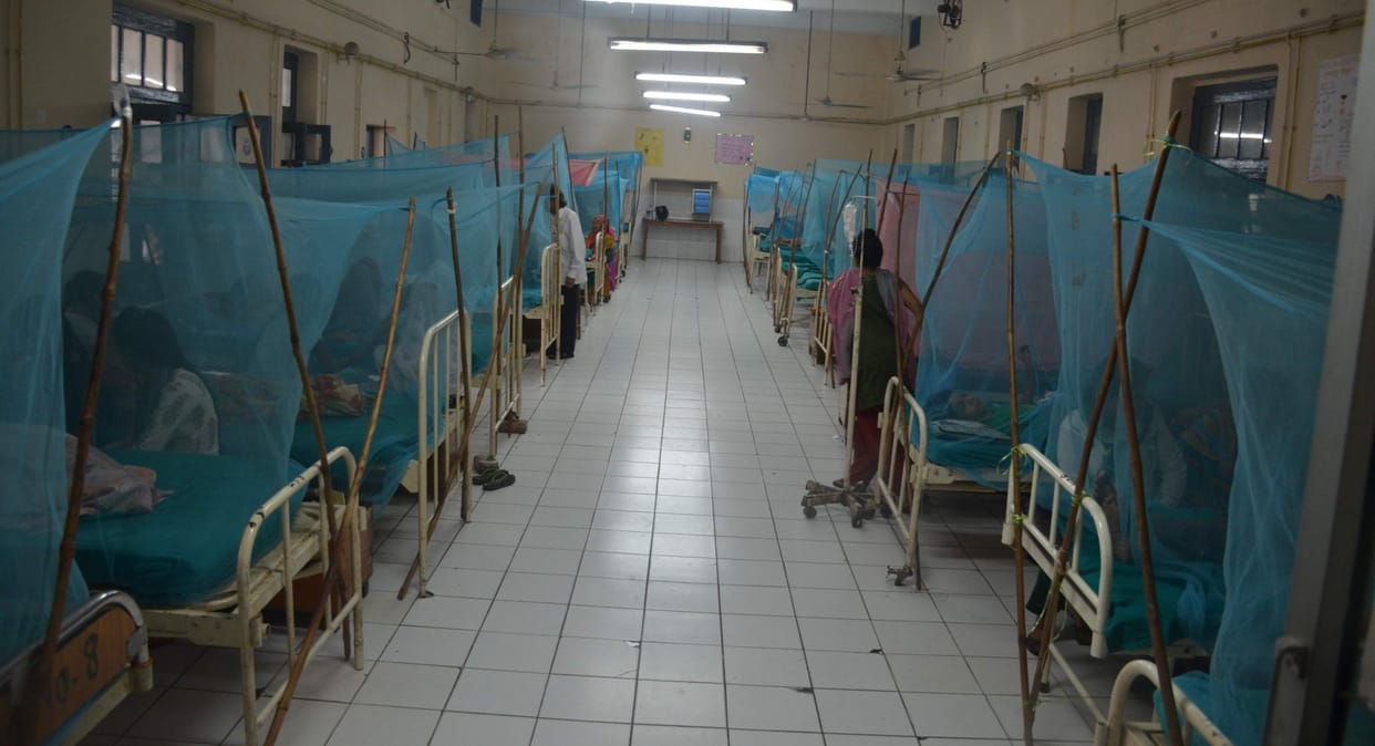 KGMU will prepare vaccine for dengu