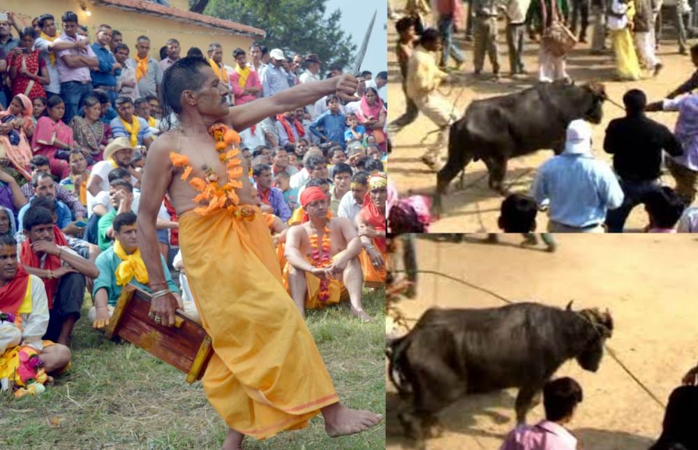 animal Slaughter stops in nanda ashtami fair