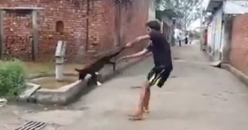 misbehave with dog video viral on social media, told the boys name and got 50 thousand reward