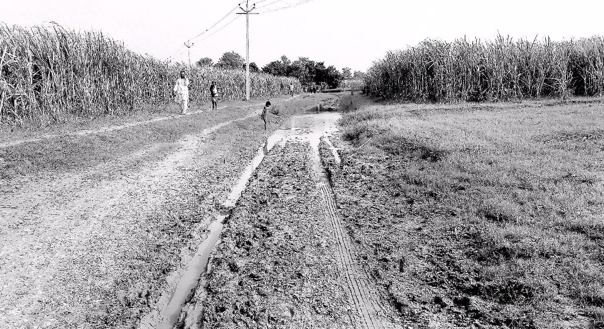 The electrical contractor uproot newly constructed road