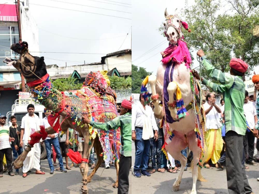animal dance in ganesh visarjan shobha yatra