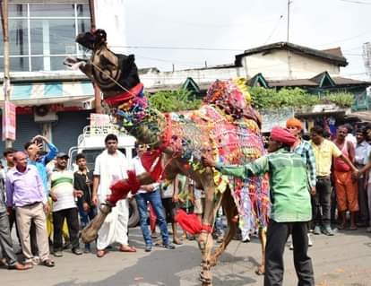 Wonderful animal dance on Ganesh immersion