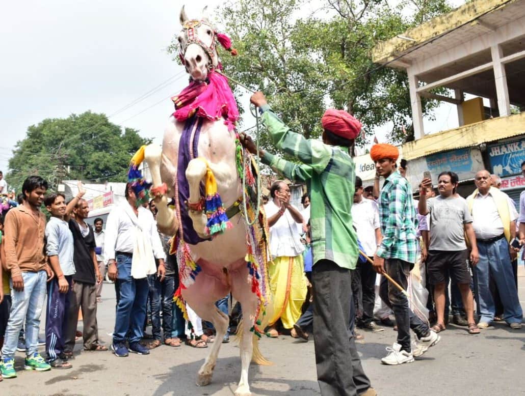 animal dance in ganesh visarjan shobha yatra