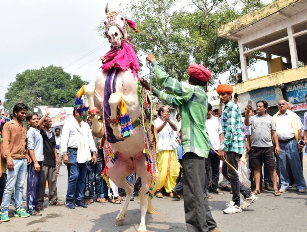 animal dance in ganesh visarjan shobha yatra