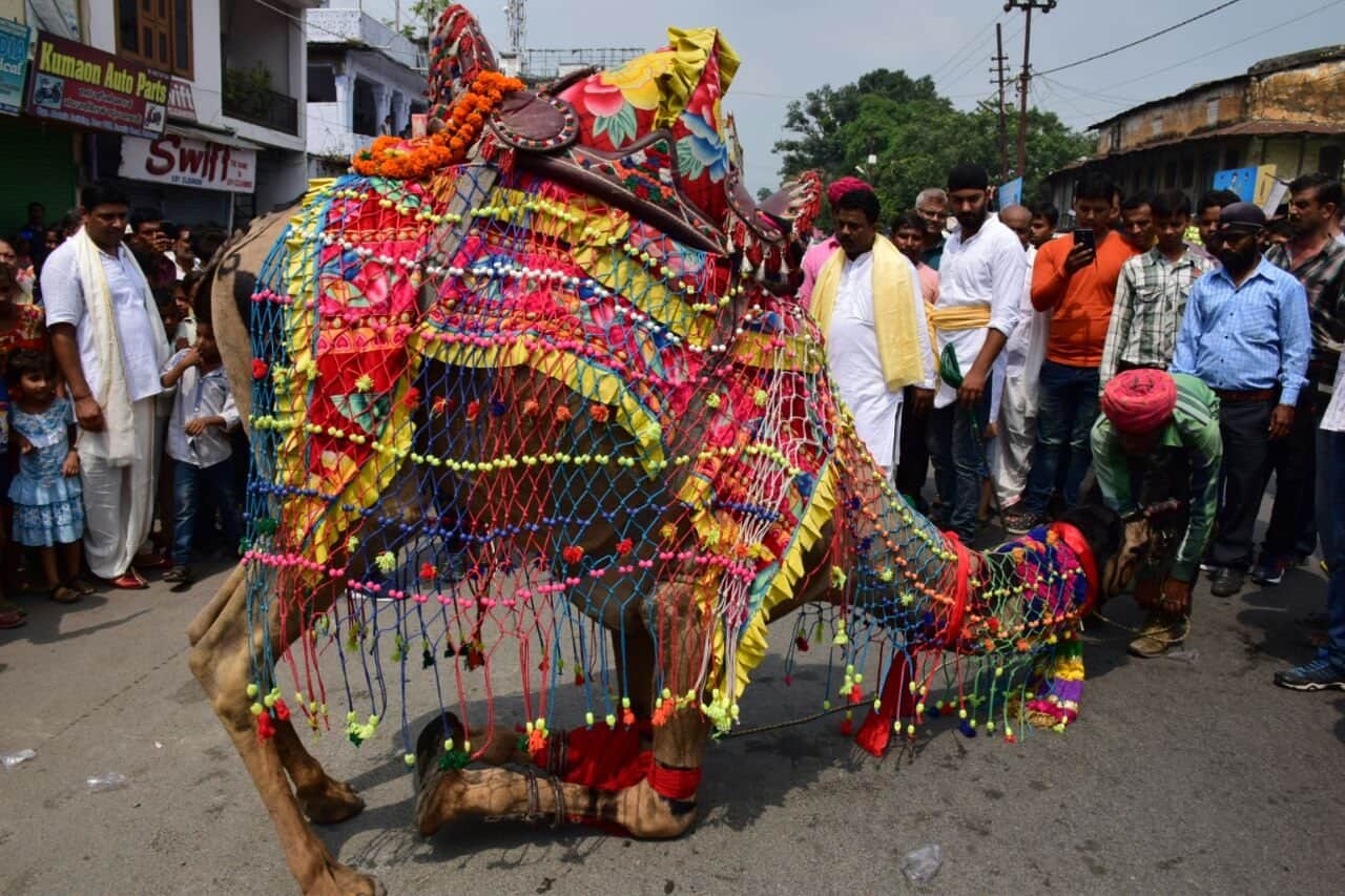 animal dance in ganesh visarjan shobha yatra