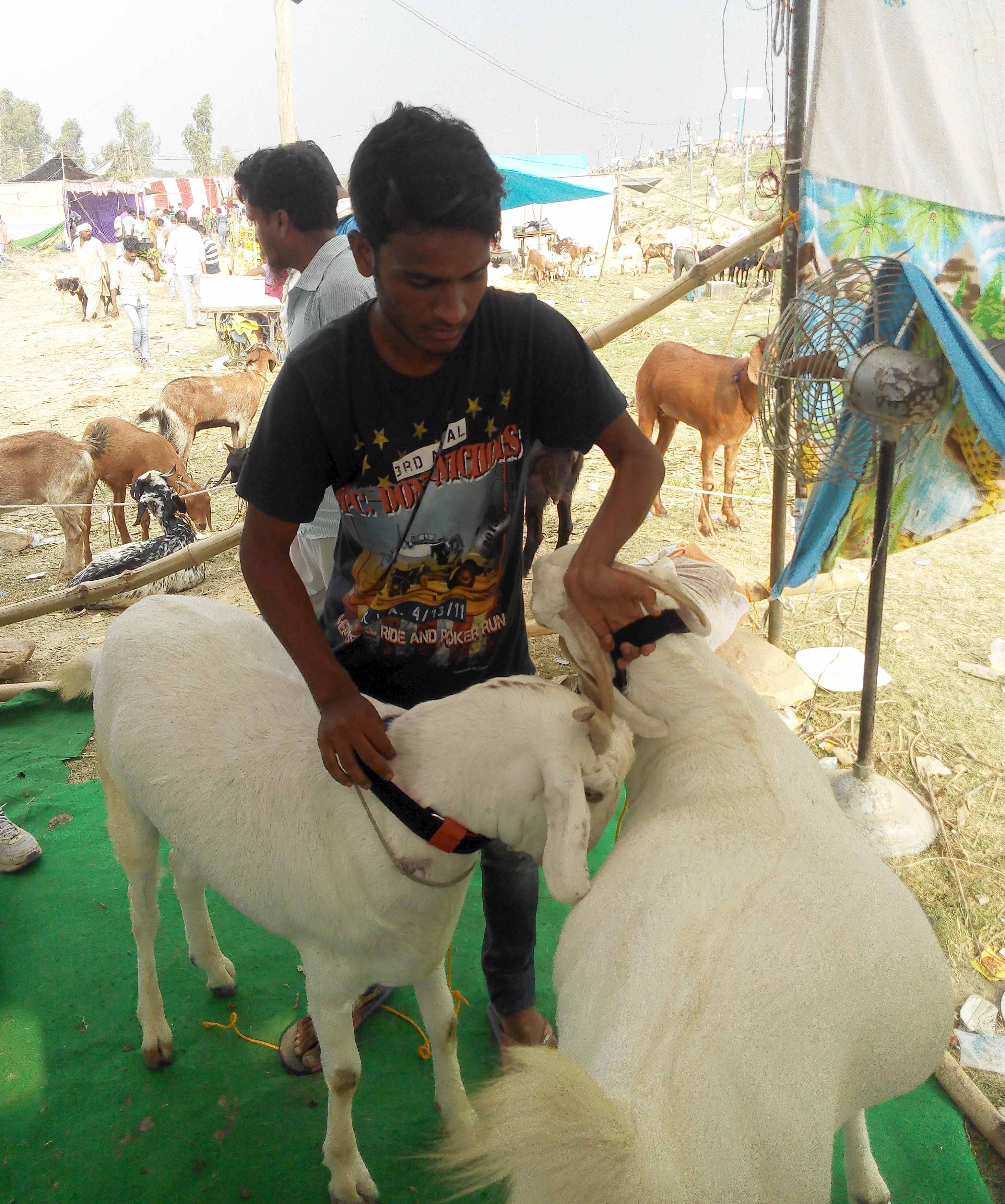 10 important thing about bakrid 2016
