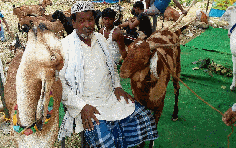 billy goat market in lucknow