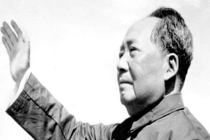 mao china vivechna