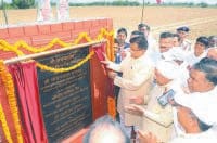 Cow Sanctuary in hisar, hindi news, foundation, hisar, minister op Dhankharh, Hisar