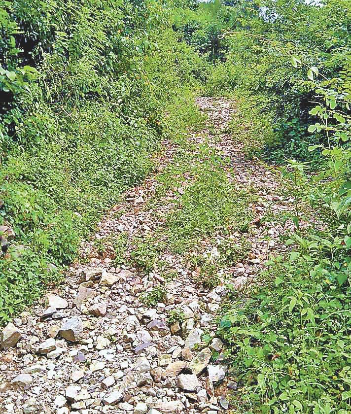 70 years later, no luck causeway