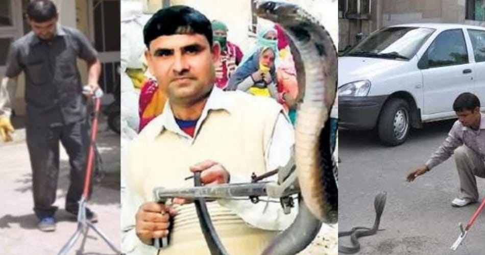 interesting and amazing story of karnal boy popular as snake man satish kumar