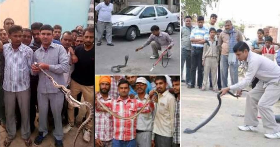 interesting and amazing story of karnal boy popular as snake man satish kumar
