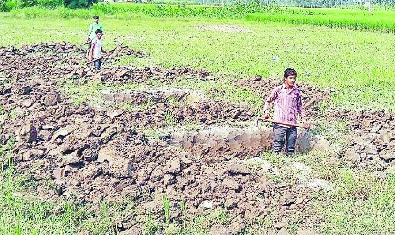 Child labor in the work of government