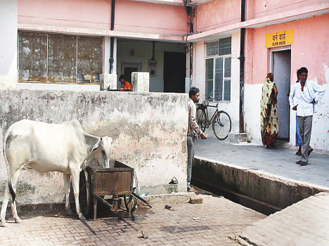 Hospital ill herself, the patient and the troubled Timardar