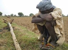 Daughter in the hands of the farmer's death shocked the yellow failure