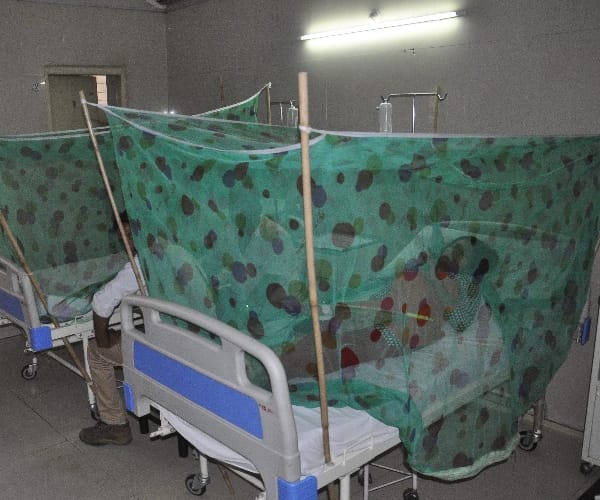  three died because of dengue in Lucknow.