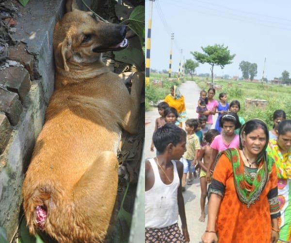 SI shoots a dog in Lucknow. 