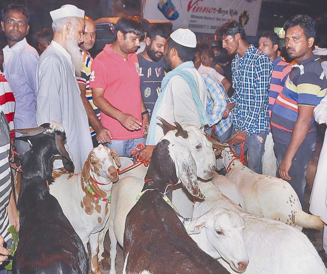 50 thousand to ten thousand goats