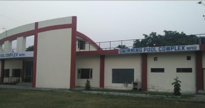 A company manager dipped in the swimming pool of the Nipr