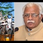 CM Khattar On Cows