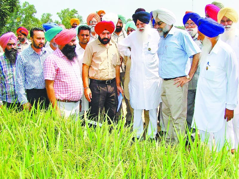  Rakhra village, Kisan Mela, agriculture minister Jathedar, Punjab, farmers, DAP, Patiala