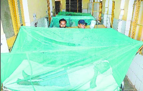 Five more people suffering from dengue