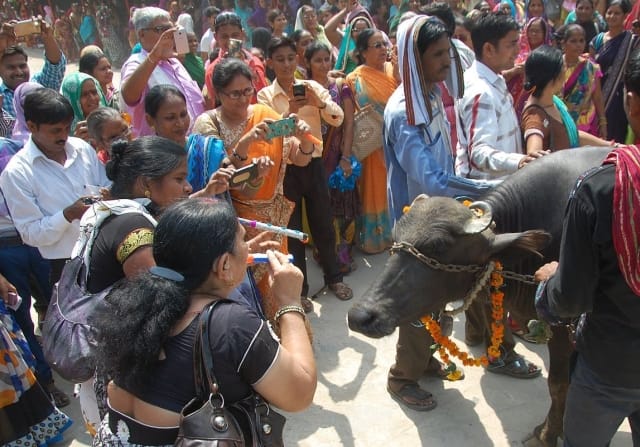 After two days of silence agitator roared 