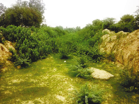 rainfal short down, farmers in trouble