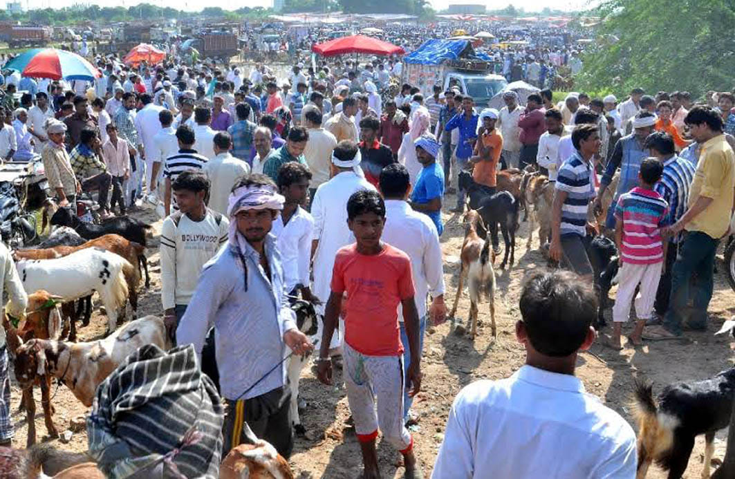 Bakri Eid yesterday, prepared
