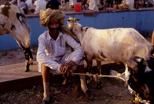 10 important thing about bakrid 2016