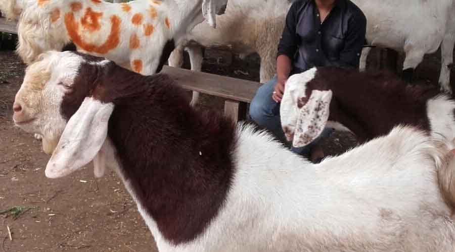 bakrid 2018 eid al adha on 22 august 10 facts about bakrid