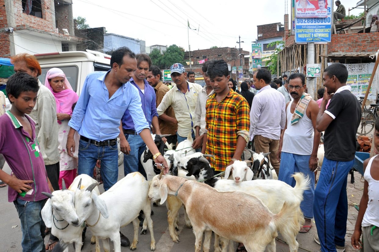 celebrated ravayti way jaygi kochi