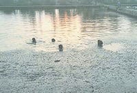 child, pond, playing child, karnal
