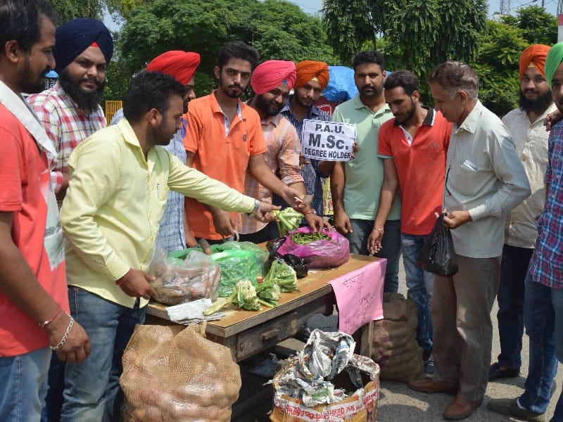 protest, protest in agriculture university, students protest