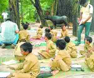 Studies under a tree for the past 11 years.