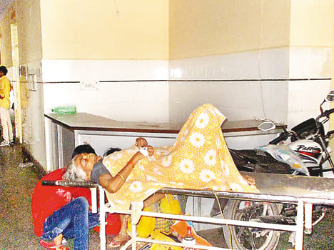 girl referred to allahabad for the possibility of dengue