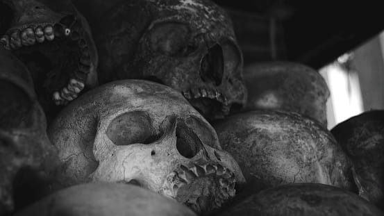 sons keeps dead mother for 9 months in house