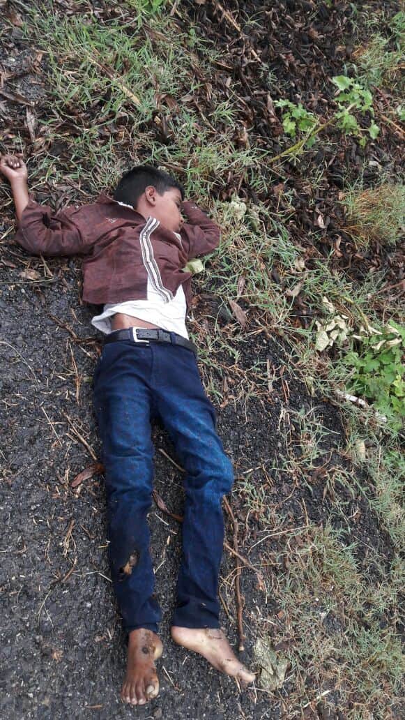 UP: bus accident in agra, 7 killed