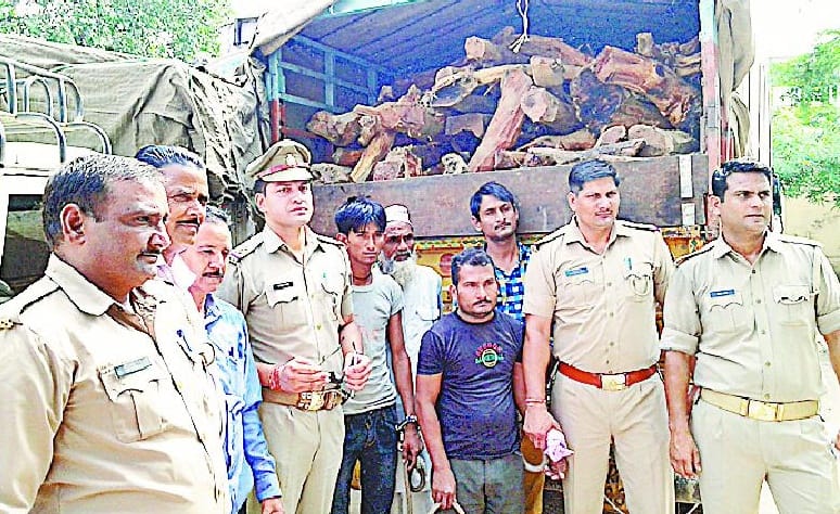 caught smuggling of Khair wood
